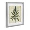 Stupell Industries Vintage Blue Botanical Illustration Framed Print Under Glass, design by Petal Prints Design